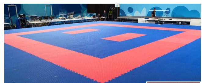 Karate Floor