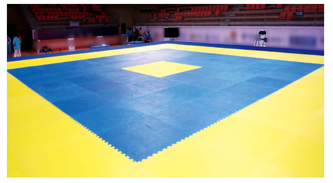 Taekwondo Training Mats (square)