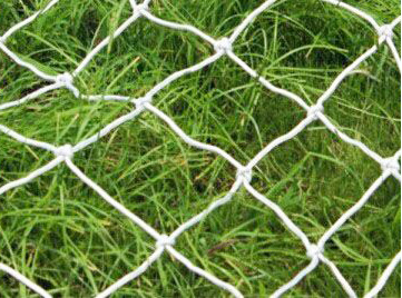 Football Net (11v11)