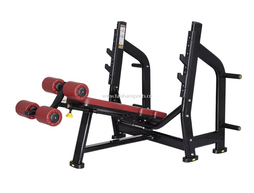 Luxury Decline Bench Press