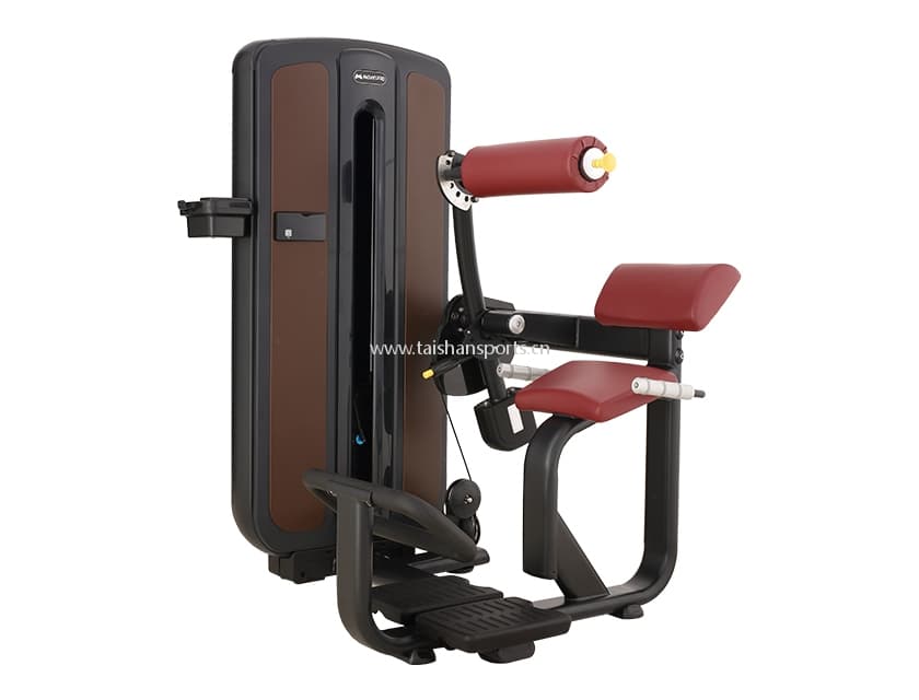  Back Muscle Trainer