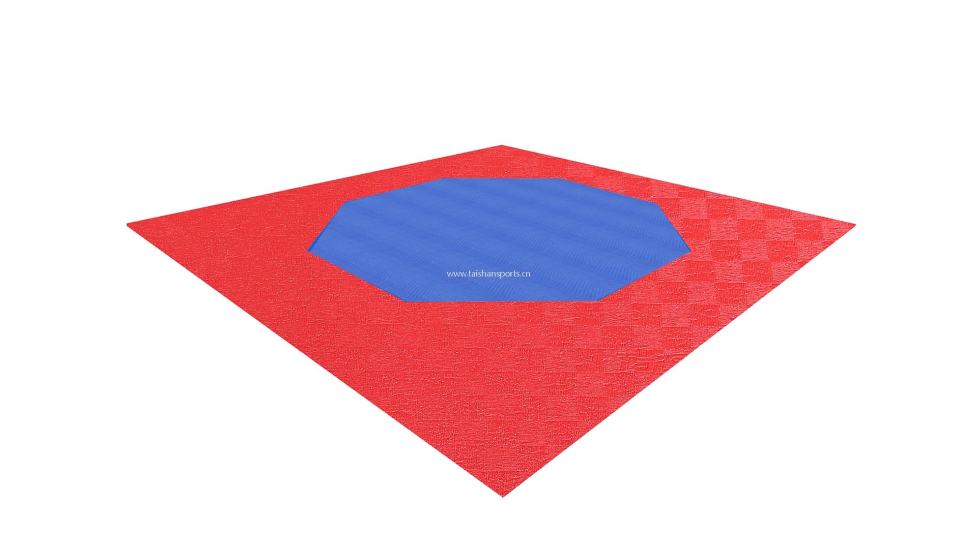 Octagonal Taekwondo Training Mat