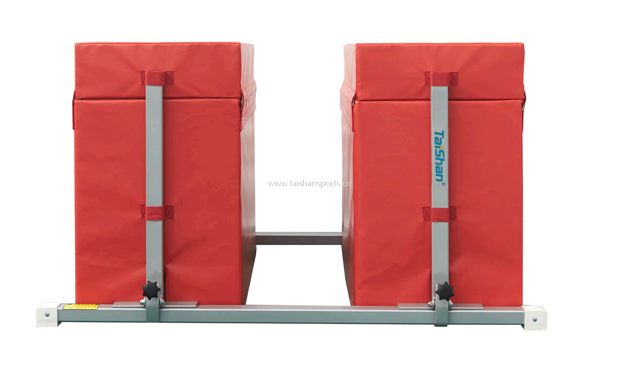 The Parallel Bars Training Bag