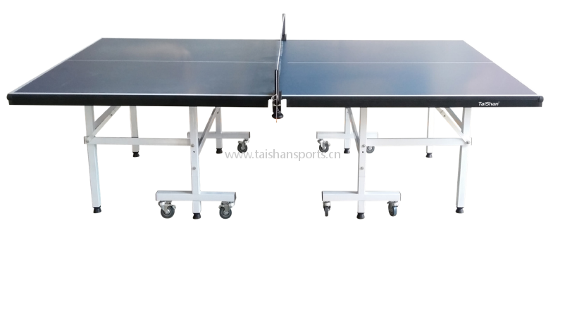 Table Tennis Table