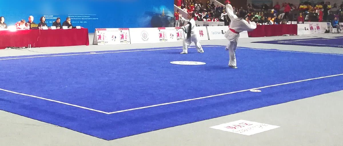 Juvenile Wushu Field II