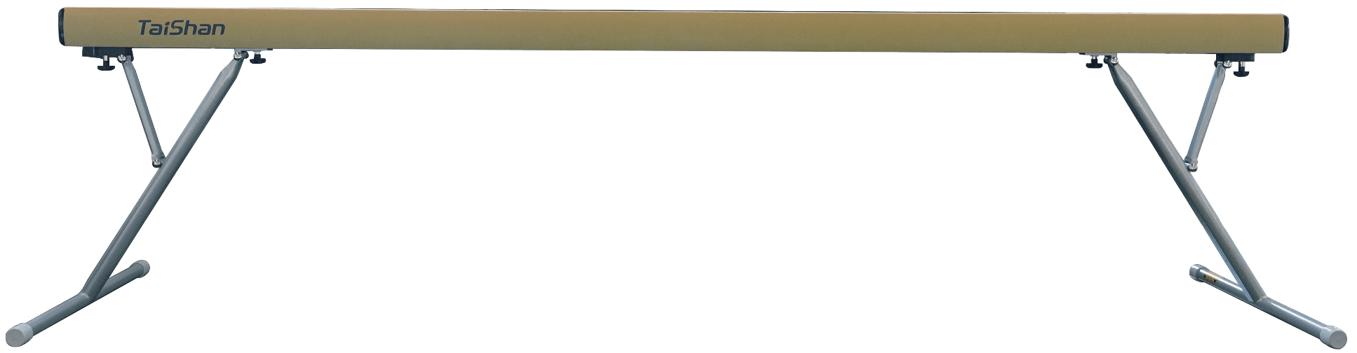 Training Balance Beam