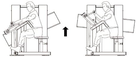 Seated Bicep Curl Machine