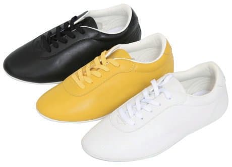 Wushu Shoes