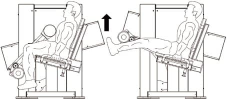 Seated Leg Extension Machine
