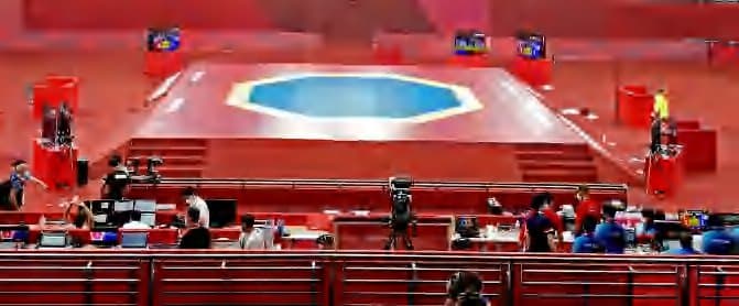 Taekwondo Platform