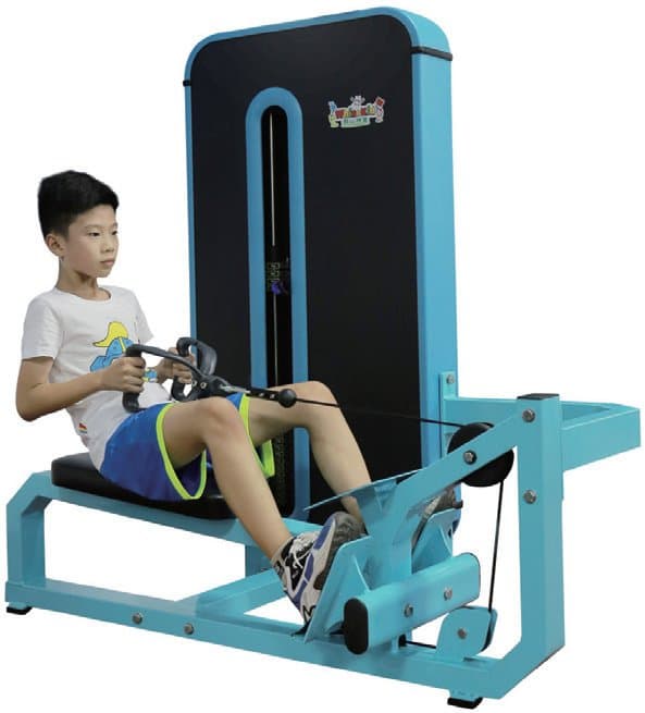 Seated Row Machine