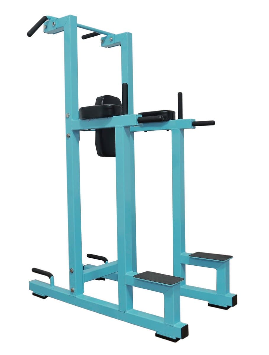 Pull Up/Leg Raise Stand