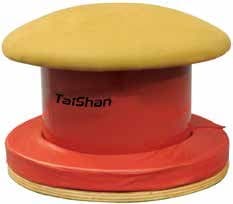 Mushroom Trainer (B)