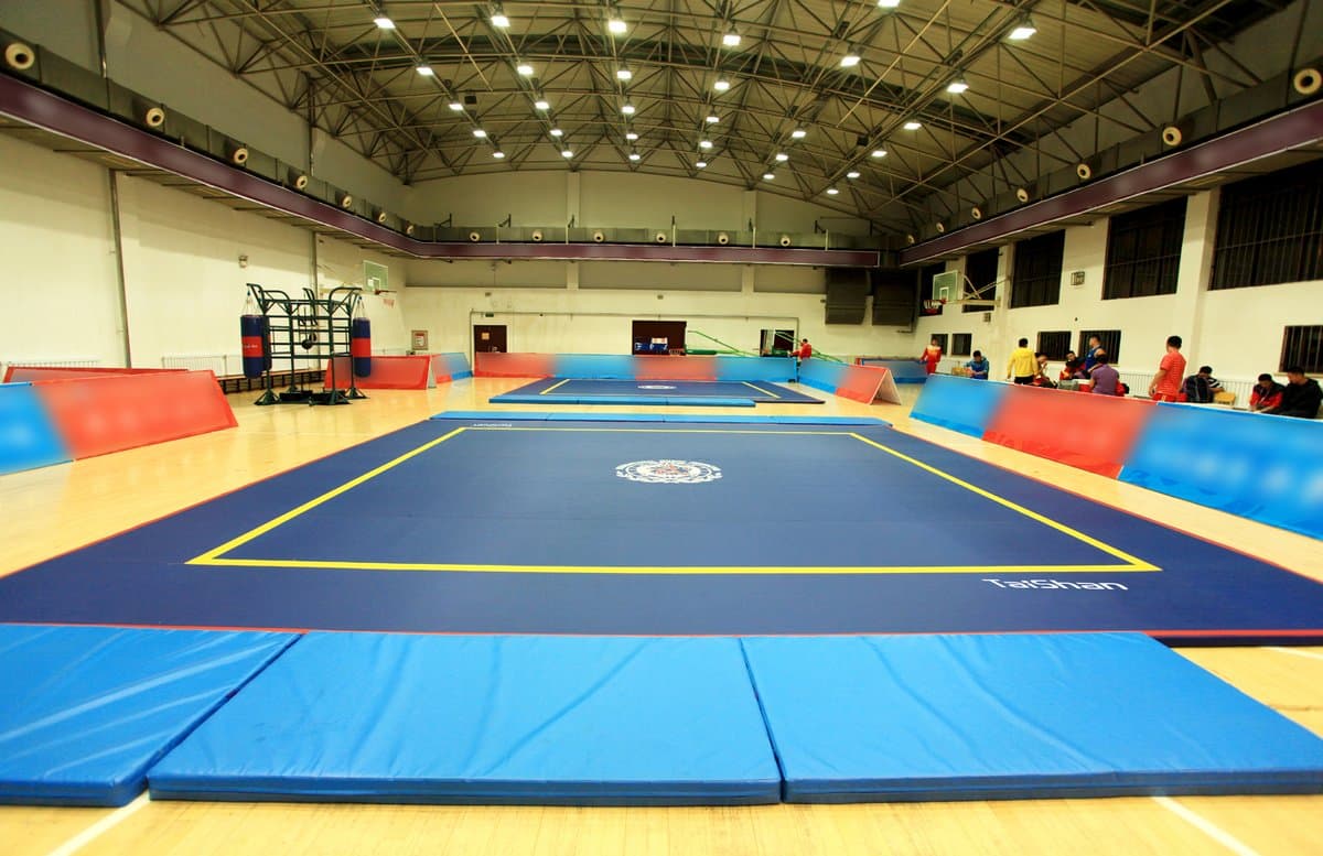 Sanda Training Mat